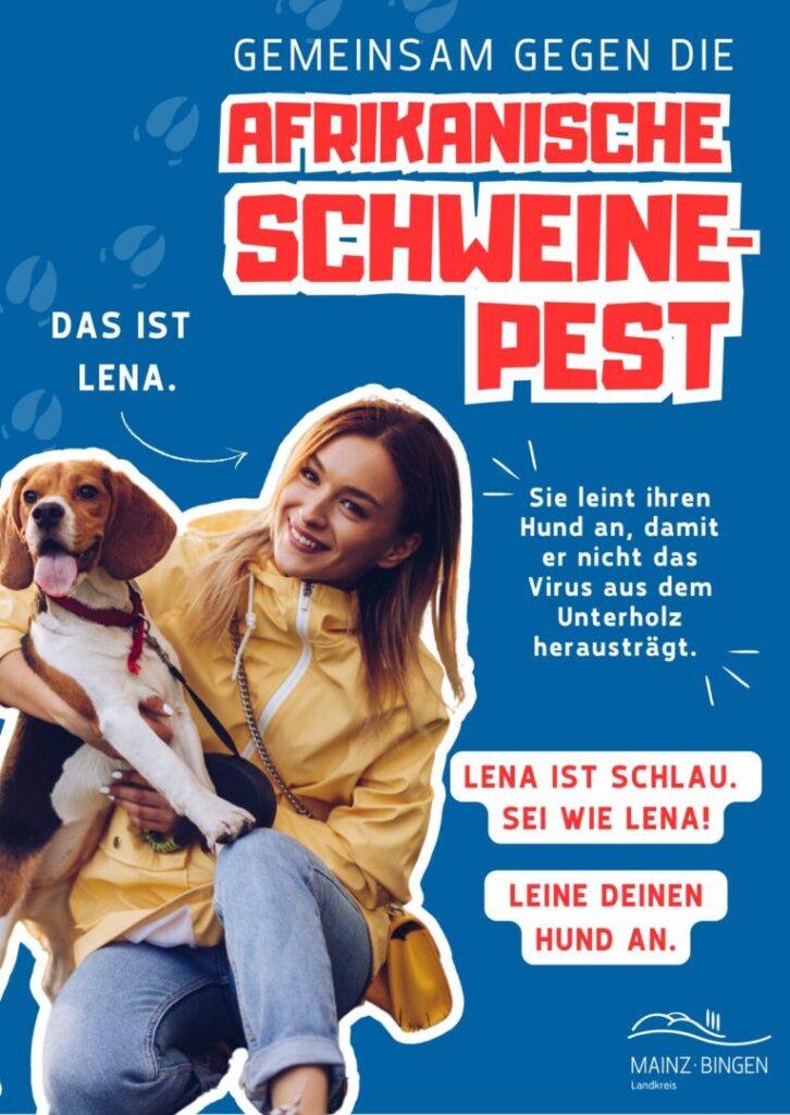 Afrikanische Schweinepest-Kampagne der Kreisverwaltung Mainz-Bingen 1 ASP Kampagne 2